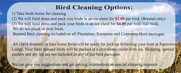 Ravenwood Bird Cleaning Options