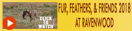 Fur Feather Friends 2018 Video