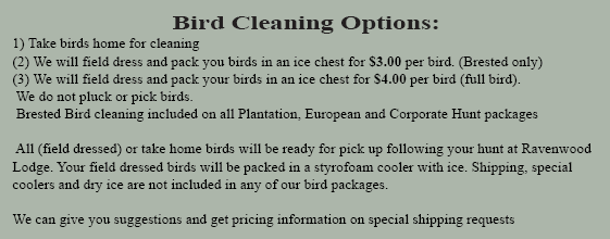Ravenwood Bird Cleaning Options