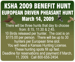 Spotlight Hunt