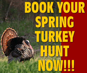 Turkey Hunt