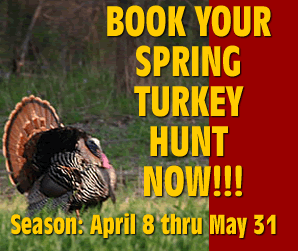Turkey Hunts
