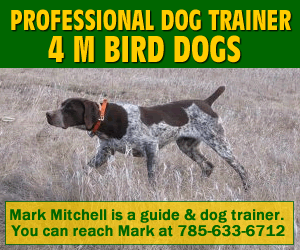 Dog Trainer