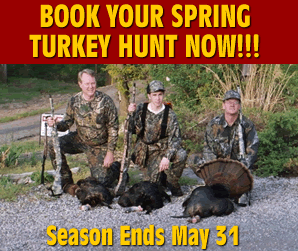 Turkey Hunt