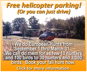 Euro Hunts