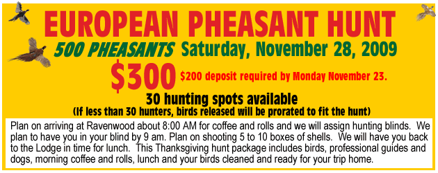 Euro Hunt