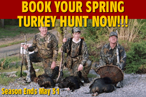 Schedule your turkey hunt now!