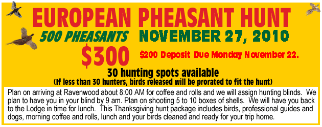 European Pheasant Hunt at Ravenwood